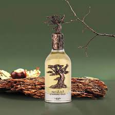 Lattafa Eternal Oud eau de parfum unisex 100 ML - sandraperfume