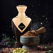 Paris Corner Prodigy Noir Eau de Parfum unisex 100 ML - sandraperfume