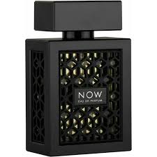 Rave Now eau de parfum uomo 100 ML - sandraperfume